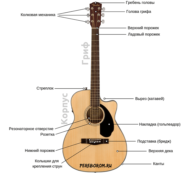 схема строения гитары