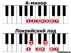 Первый лад на гитаре