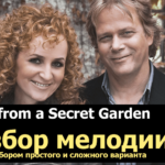 secret garden на гитаре